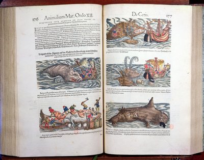 Att förena en val och valfångst, från Appendix historiae quadrupedum, viviparorum et ovipororum av Conrad Gesner (1516-65) schweizisk naturforskare, 1554 (färgstick) av Swiss School