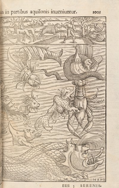 Sida 1005 från Cosmographiae Universalis av Sebastian Muenster, Basel, 1572 av Swiss School