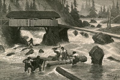 Wood-Floaters av Swiss School