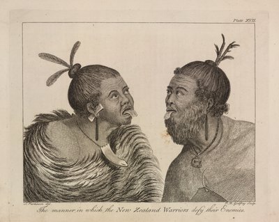 L.R.294.c.7, skylt XVII Nya Zeelands krigare av Sydney (after) Parkinson