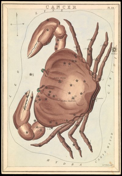 Cancer, ca 1825 (kort, papper, vävnad ) av Sydney Hall
