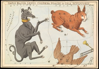 Canis Major. Lepus, Columba Noachi  Cela Sculptoris, ca 1825 (kort, papper, vävnad ) av Sydney Hall