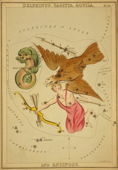 Delphinus, Sagitta, Aquila och Antinous, Illustration från 