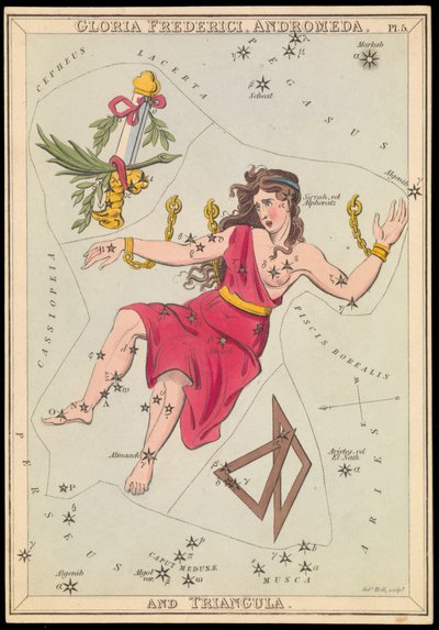 Gloria Frederich, Andromeda och Triangula, ca 1825 (kort, papper, vävnad ) av Sydney Hall