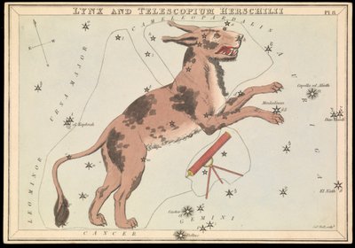 Lodjur och Telescopium Hereschilii, ca 1825 (kort, papper, vävnad ) av Sydney Hall