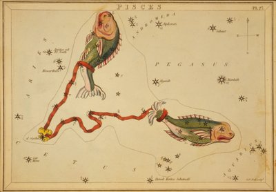 Fiskarna, illustration från 
