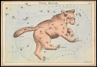 Ursa Major, ca 1825 (kort, papper, vävnad) av Sydney Hall