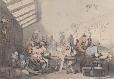 Dissektionsrummet, ca. 1838. av T. C. Wilson