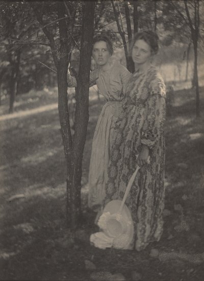 I skogen,ca. 1899 (foto) av T. M. Edmiston