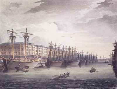 West India Docks av T. and Pugin A.C. Rowlandson