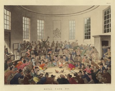 Königliche Kampfarena (farbige Gravur) von T. & Pugin A.C. (1762-1832) (after) Rowlandson
