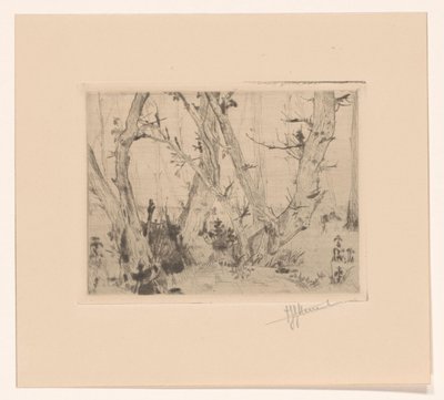 skogsutsikt av T. Sterrenburg (signed by artist)