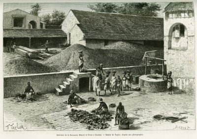 Inne på fabriken Maurel och Prom, i Boulam, samlar och bearbetar jordnötter, palmmandel och gummi. Gravyr av Taylor, efter ett fotografi, för att illustrera berättelsen Voyage dans la Senegambie et la Guinee portuguese, 1888, av kapten A. Brosselard, av T Taylor