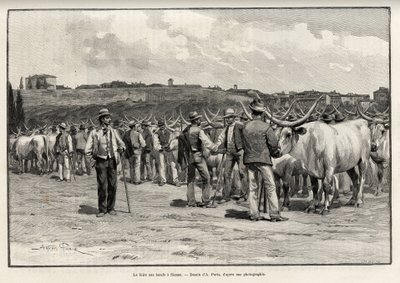 Nötköttsmässan i Siena (Italien). Gravyr av Taylor för att illustrera historien "" A travers la Tuscane"" av Eugene Muntz (1845-1902), i Le tour du Monde 1892, regisserad av Edouard Charton (1807-1891), Hachette, Paris. av T Taylor
