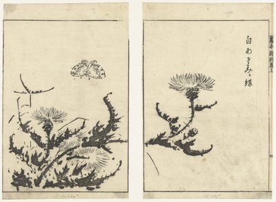 di s te ls en v in r gahon shinkoku makiage (serie) av Tachibana Morikuni (attributed to)