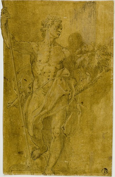 Studie till manlig allegorisk figur av Taddeo Zuccaro
