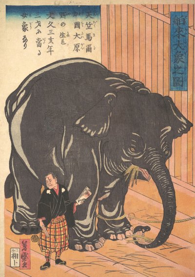 Vy över den stora importerade elefanten, 1863 Bunkyo 3, 4:e månaden. av Taguchi Yoshimori