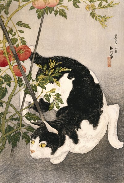 Cat prowling Around a staked tomatplant, 1931 (träblockstryck) av Takahashi Hiroaki