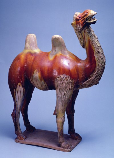Kamel, Tangdynastin (polykrom glaserad keramik) av Tang Dynasty Chinese School
