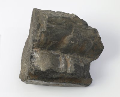 Fragment av en lotuspiedestal av Tang Dynasty Chinese School