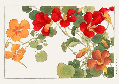 Krasseblomma från "Seiyou Sokazufu" av Tanigami Konan