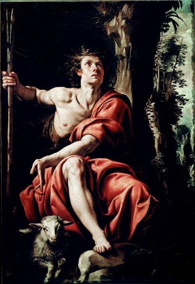 Saint John in the Desert Målning av Tanzio da Varallo (Antonio d