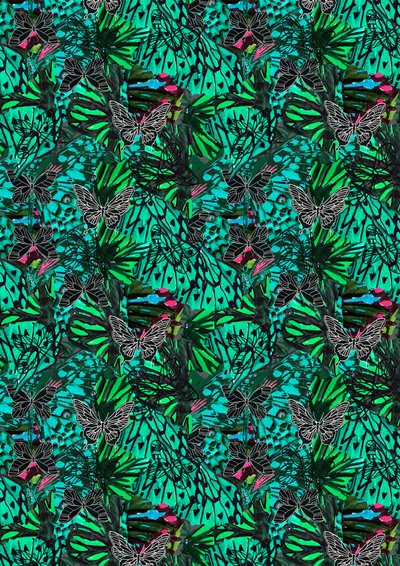 Papillon av Tara Whitehead