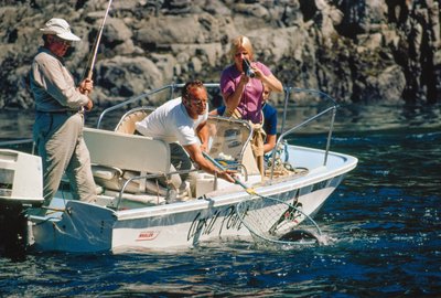 En sportfiskare filmar sin fångst och drar upp en lax vid Bute Inlet. av Ted Spiegel