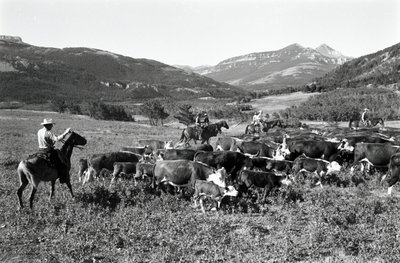 Robert Staffanson av Ted Spiegel
