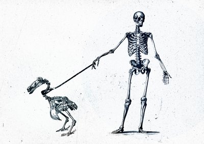 Walking my dodo, 2015 (mixed media på duk) av Teis Albers
