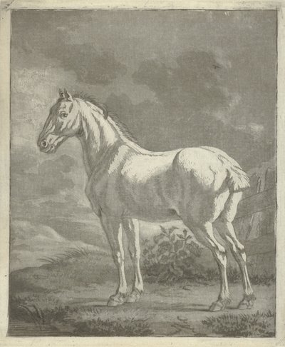 Mögel på en äng av Tethart Philip Christian Haag