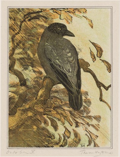 Röd kråka på gren av Theo van Hoytema (signed by artist)
