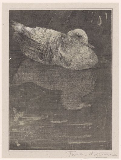 flytande anka av Theo van Hoytema (signed by artist)