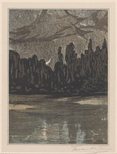 Nattlandskap med flyttfåglar av Theo van Hoytema (signed by artist)