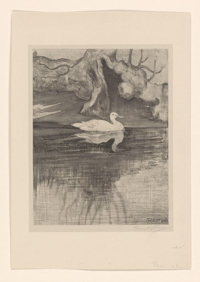 Damm med anka av Theo van Hoytema (signed by artist)