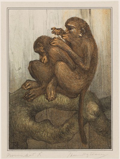 Loppapor av Theo van Hoytema (signed by artist)
