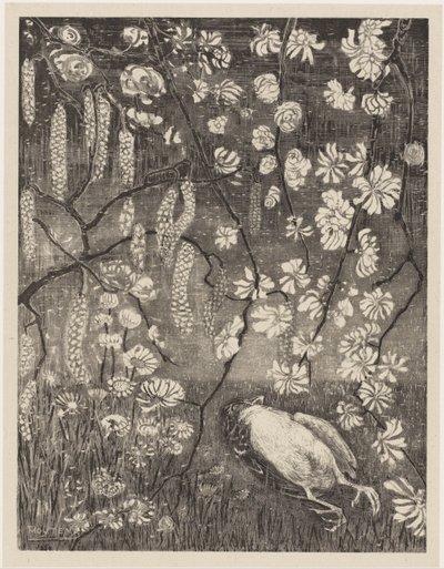 Död fågel under hassel- och kaprifolgrenar Flower Studies (original serietitel) av Theo van Hoytema