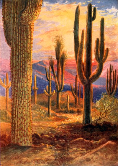 Segraren i öknen (färglitografi) av Theobald Carreras