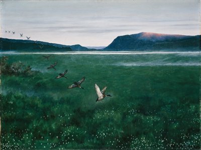 De tolv vilda ankorna av Theodor Kittelsen