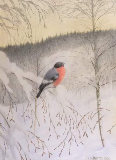 Domherre på Frostig kvist av Theodor Kittelsen