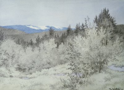 Långt långt borta i skogen av Theodor Kittelsen