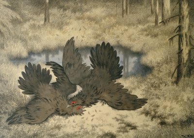 Trollfågeln slåss där inne av Theodor Kittelsen