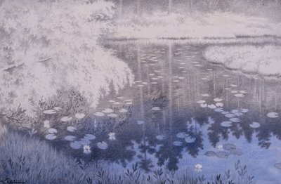 Det ligger en damm i Svartebudale av Theodor Kittelsen