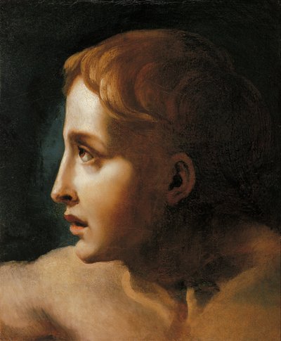 Head of a Youth av Theodore Gericault