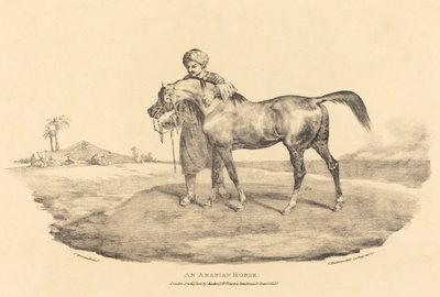 En arabisk häst av Theodore Gericault
