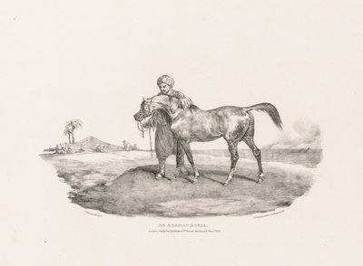 En arabhäst av Theodore Gericault