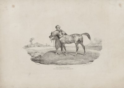 En arabhäst av Theodore Gericault