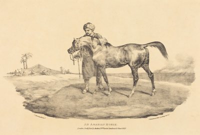 En arabhäst av Theodore Gericault