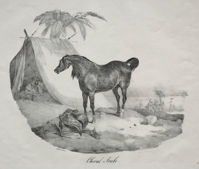 Arabisk häst av Theodore Gericault