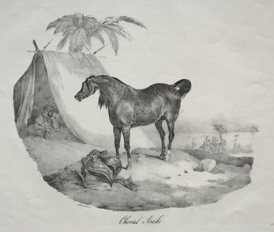 Arabhäst av Theodore Gericault